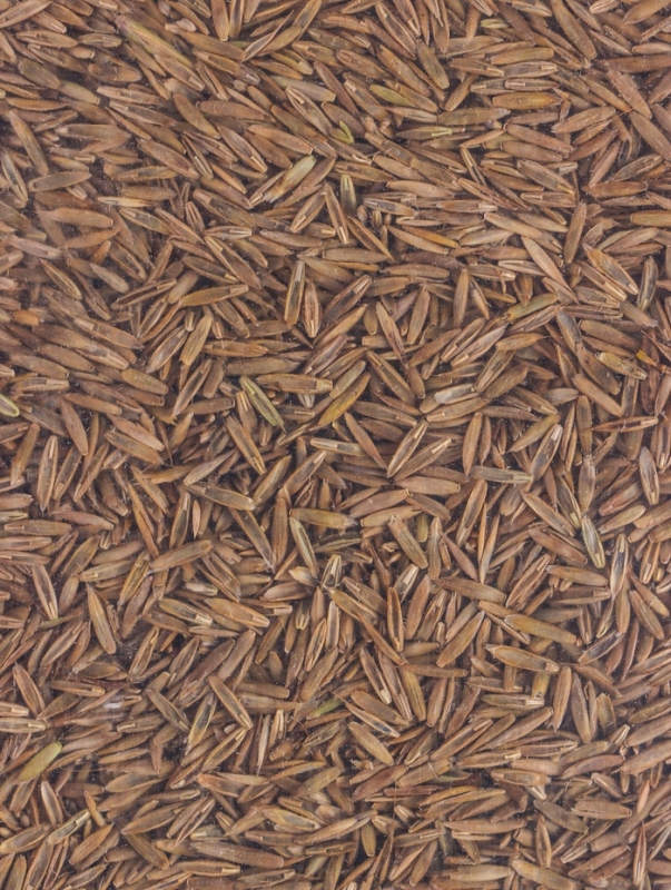 Газон Микс  Газон Микс "Мой Выбор" 5кг