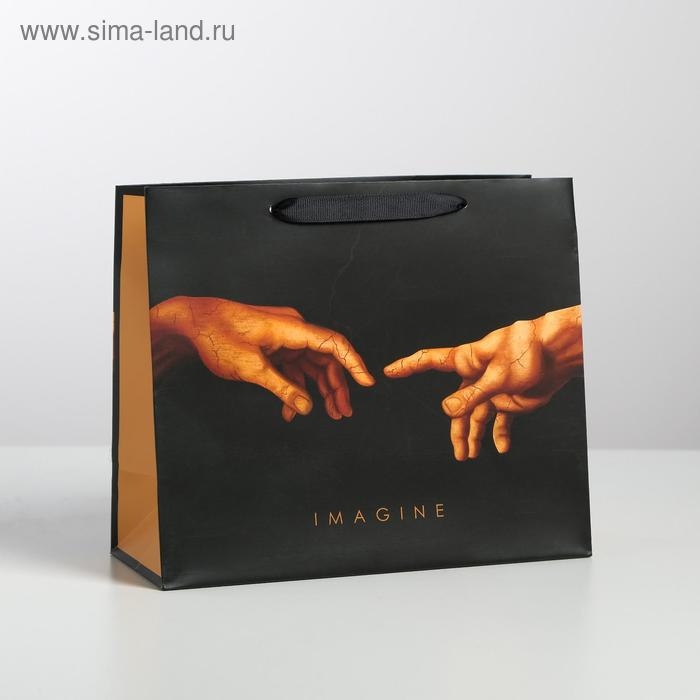 Пакет подарочный ламинированный горизонтальный, упаковка, Imagine, ML 27 х 23 х 11,5 см Пакет подарочный ламинированный горизонтальный, упаковка, Imagine, ML 27 х 23 х 11,5 см