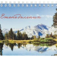 Планинг недатированный 295х100  56 л.Пт 4603721416431