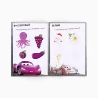 Книги обучающие &laquo;Познаём мир&raquo;, набор 6 книг по 20 стр.