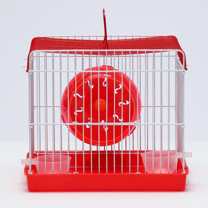 Клетка для грызунов укомплектованная RT-2q, 22 х 16 х 20 см, красная Клетка для грызунов укомплектованная RT-2q, 22 х 16 х 20 см, красная