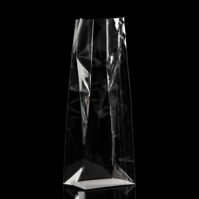 Пакет с жестким дном 11 х 17 х 55 Пакет с жестким дном 11 х 17 х 55 "Прозрачный"