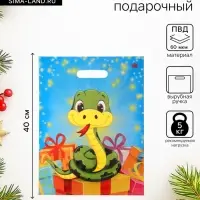 Пакет 2025, полиэтиленовый с вырубной ручкой, л 40&times;31 см