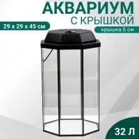 Аквариум «Восьмигранный» с крышкой, 32 литра, 29×29×45/50 см, чёрный