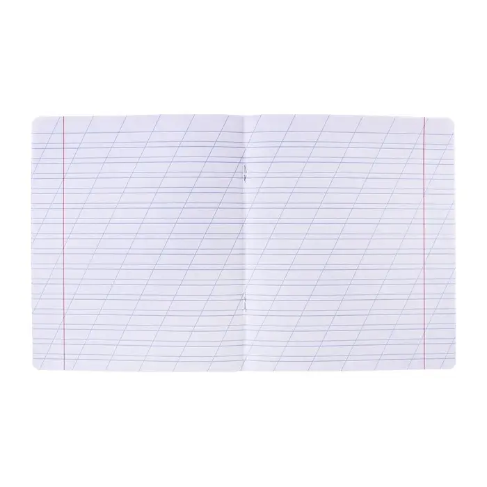 Тетрадь 12 листов в косую линейку ErichKrause &laquo;Классика Visio&raquo;, обложка мелованный картон, зелёная