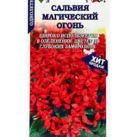 Семена Сальвия Магический огонь /Сотка/ 0,1г/ h-20см/*1300 Семена Сальвия Магический огонь /Сотка/ 0,1г/ h-20см/*1300