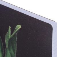 Бизнес-тетрадь, BS, А4, 96л., клетка, мягкий, спираль. Flora, инжир, N4283