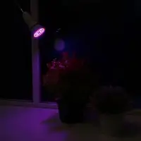 Фитолампа для растений Luazon Lighting, светодиодная, E27, 3.5 Вт, IP44, 220 В, 270&deg;, биколорная