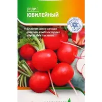 Семена Редис "Юбилейный" 2 г Семена Редис "Юбилейный" 2 г