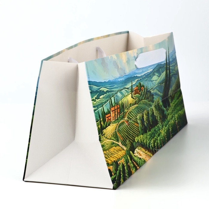 Пакет под бутылку горизонтальный «Сад», 36 × 10 × 13 см Пакет под бутылку горизонтальный «Сад», 36 × 10 × 13 см