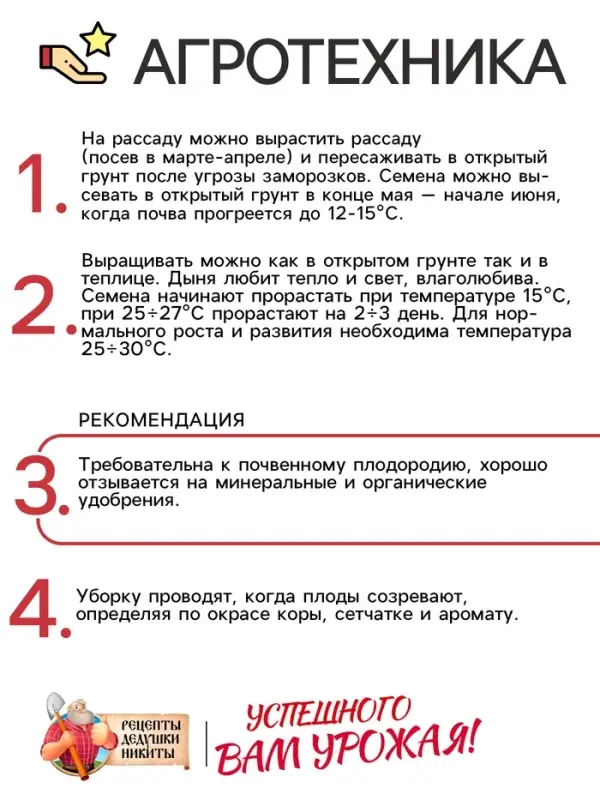 Семена Дыня &laquo;Бест Джумбо&raquo;, 1 г, &laquo;Рецепты дедушки Никиты&raquo;