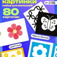 Развивающий набор &laquo;Мои первые картинки&raquo;, 80 карточек, 0+