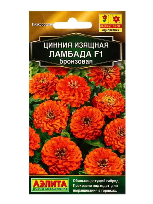 Семена цветов Цинния Ламбада F1 бронзовая Золотая серия, Ц/П,12 шт. Семена цветов Цинния Ламбада F1 бронзовая Золотая серия, Ц/П,12 шт.