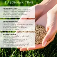 Газонная травосмесь &laquo;Красотень&raquo;, &laquo;Гном&raquo; 1 кг