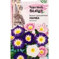 Семена цветов Вьюнок трехцветный Мамба, смесь 0,5 г серия Чудесный балкон