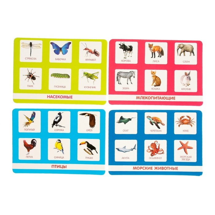 Большой развивающий набор от 2 лет, всестороннее развитие Большой развивающий набор от 2 лет, всестороннее развитие