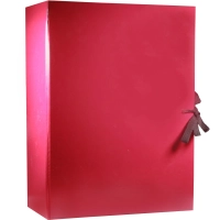 Папка архивная складная 100мм  цвет бордо