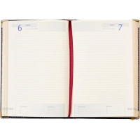 Ежедневник полудатированный коричневый А5 IMPERIUM 3-023/123