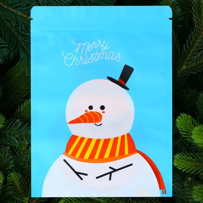 Пакет подарочный, с zip-lock застежкой,  Пакет подарочный, с zip-lock застежкой, "Снеговик с шарфом", 16 х 21,5 ± 1см.