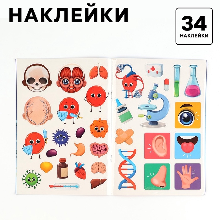 Обучающий набор «Тело человека», рамка-вкладка и книга с наклейками Обучающий набор «Тело человека», рамка-вкладка и книга с наклейками