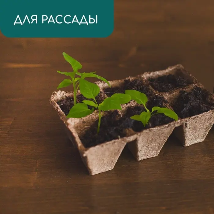 Кассета для рассады, 28 × 20 × 9 см, 6 ячеек по 400 мл, торф, 9 × 9 см