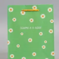 Пакет подарочный "Ромашки - обнимашки" ламинированный 18 х 22,3 х 10 см