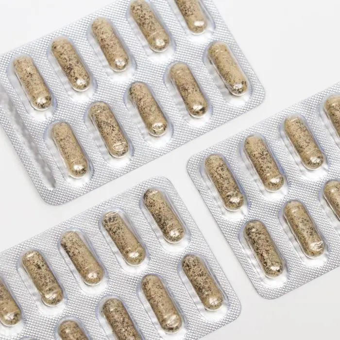 «Сибирская лиственница подсочка» с золотарником и стальником, новые почки, 30 капсул по 0,5 г «Сибирская лиственница подсочка» с золотарником и стальником, новые почки, 30 капсул по 0,5 г