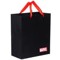 Пакет подарочный, 23х27х11 см, упаковка, Мстители Пакет подарочный, 23х27х11 см, упаковка, Мстители