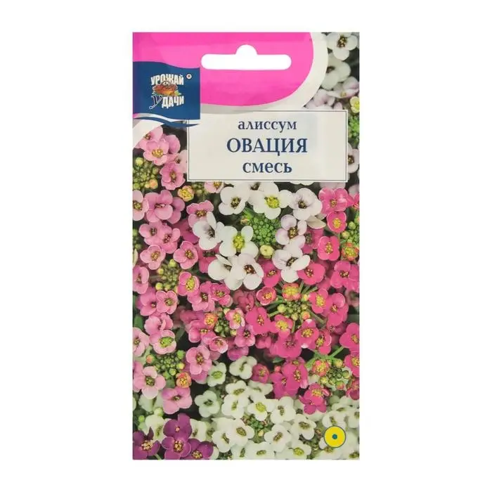 Семена цветов Цв Алиссум  Семена цветов Цв Алиссум "Овация",  смесь,0,1 гр