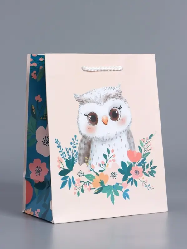 Пакет подарочный "Мудрая совушка" ламинированный 18 х 22,3 х 10 см
