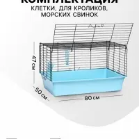 Клетка для кроликов, морских свинок &laquo;Пижон&raquo; №4 складная, 80&times;50&times;47 см, бирюзовая