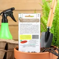 Семена Свёкла столовая Пиковая дама F1, 1гр Семена Свёкла столовая Пиковая дама F1, 1гр