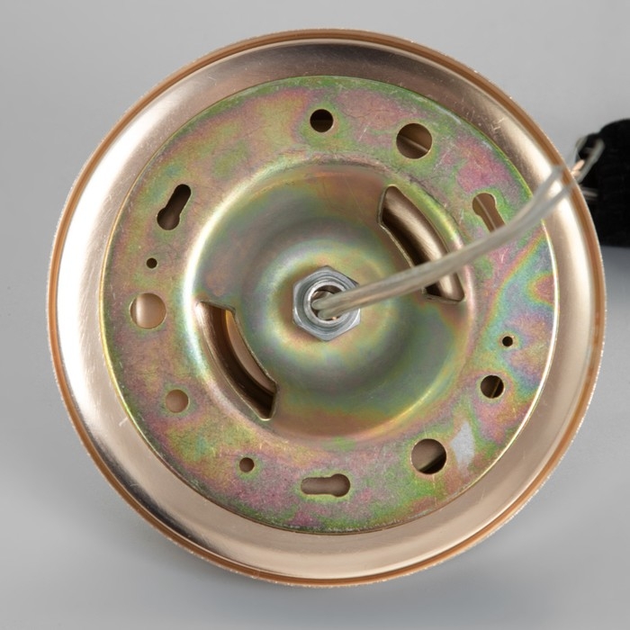 Люстра Люстра "Молси" 6хЕ14 золото 50х50х28 см BayerLux