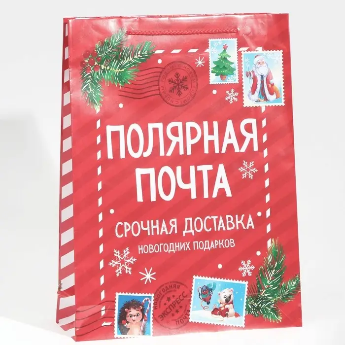 Пакет подарочный новогодний ламинированный «Полярная почта», L 28 х 38 х 9 см Пакет подарочный новогодний ламинированный «Полярная почта», L 28 х 38 х 9 см