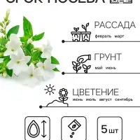 Семена цветов Лобелия ампельная "Белый каскад", 5 шт.