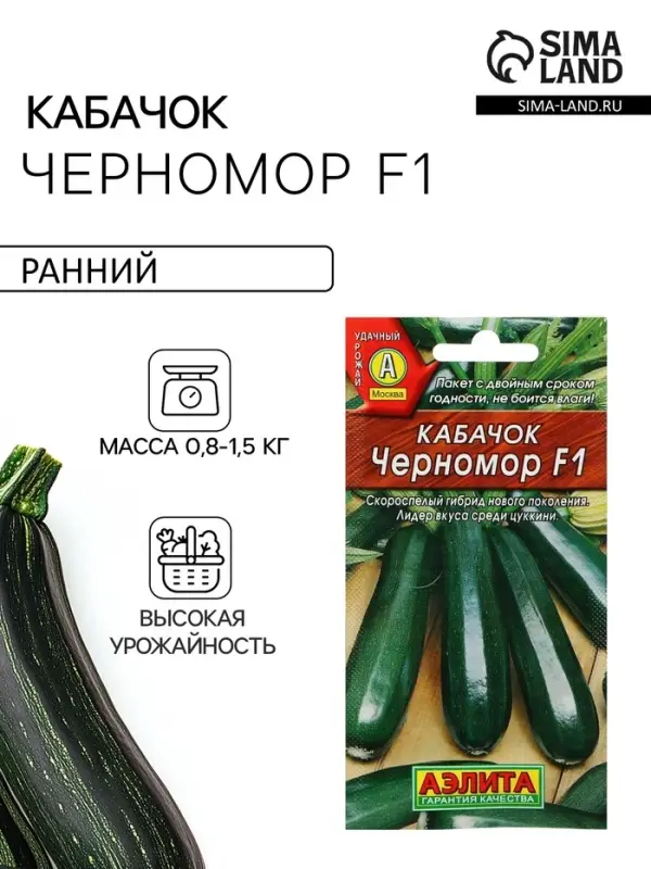 Семена Кабачок цукини &laquo;Черномор&raquo;, F1, 1 г, скороспелый, &laquo;Аэлита&raquo;