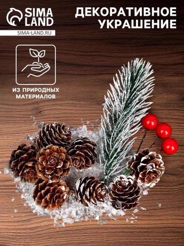Новогодний декор &laquo;Морозные шишки&raquo;, набор