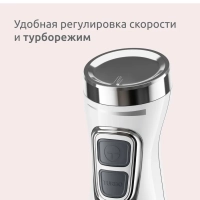 Блендер погружной DD5431F0, 600 Вт