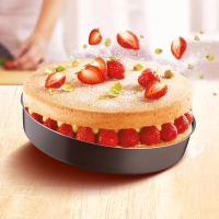 Круглая форма для выпечки Perfectbake J5549602, 24,8 см
