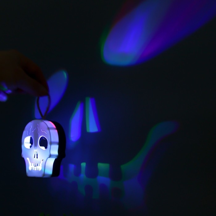 Ночник  Ночник "Череп" LED 1Вт RGB от батареек LR1130  бело-черный 9,5х4х5см RISALUX