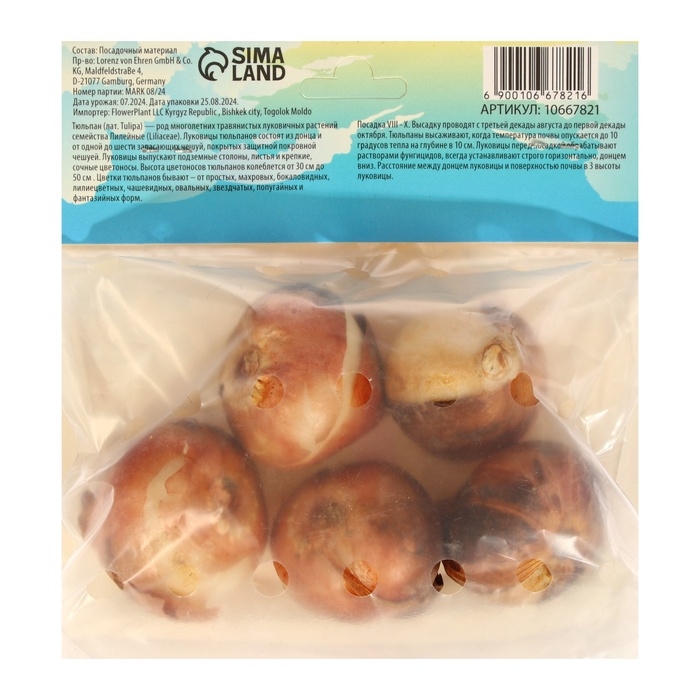 Тюльпан Триумф Карнавал де Рио, р-р 12+, 5 шт, Осень 2024 Тюльпан Триумф Карнавал де Рио, р-р 12+, 5 шт, Осень 2024