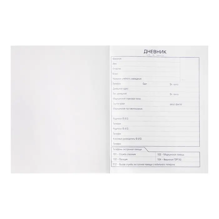 Дневник твердая обложка 1-11 класс 40 листов, Приключения кота Пирожка, матовая ламинация