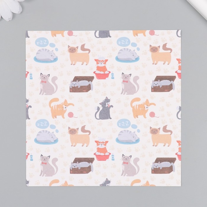 Набор бумаги для скрапбукинга 12 листов 12 дизайнов Набор бумаги для скрапбукинга 12 листов 12 дизайнов "Забавные котики" 160 гр 15,2х15,2 см