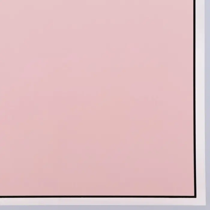 Пленка для цветов и флористики, матовая, пыльная роза, 57×57 м Пленка для цветов и флористики, матовая, пыльная роза, 57×57 м