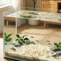 Набор ракушек декоративных 1,5-3 см, 100  г