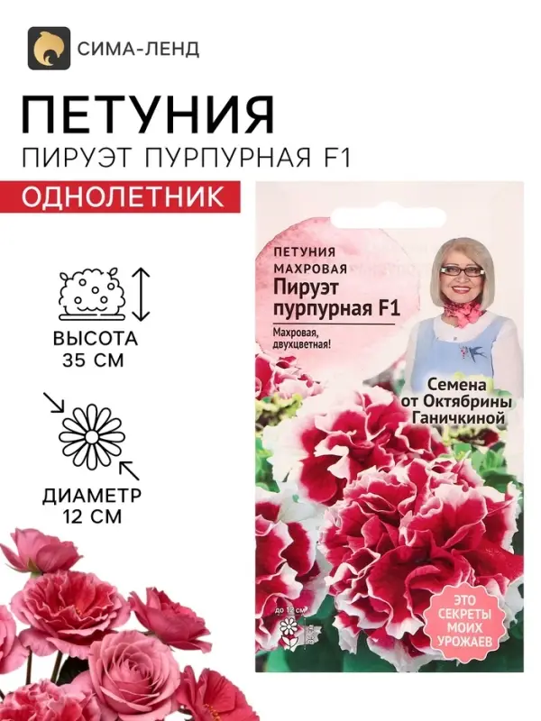 Семена цветов Петуния &laquo;Пируэт пурпурная&raquo; F1, махровая, 10 шт.