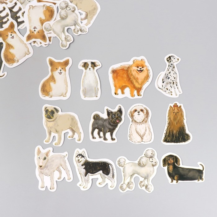 Наклейки для творчества "Породы собак" тиснение серебро набор 48 шт 9х7х0,8 см