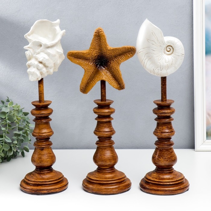 Сувенир интерьерный полистоун  Сувенир интерьерный полистоун "Ракушки" набор 3 шт 41х12х17 см