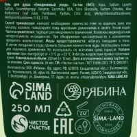Подарочный набор ЧИСТОЕ СЧАСТЬЕ «С Новым Годом»: гель для душа 250 мл и мочалка для тела