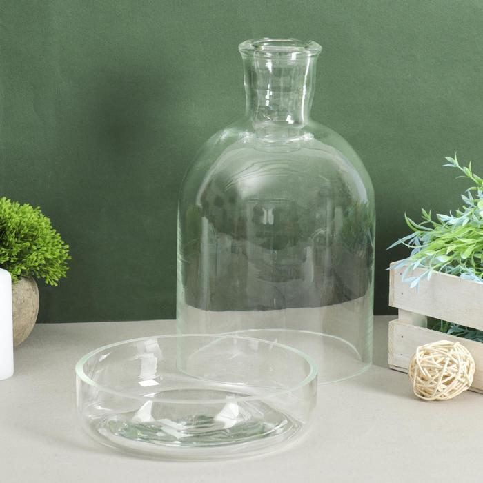 Ваза Ваза "Мини-флорариум" 28х18 см, 3л 2286 прозрачная